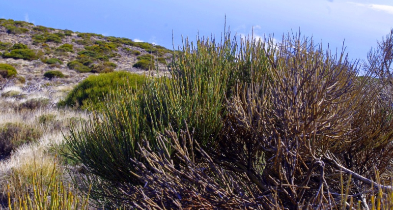 Ocean Atlantycki-Hiszpania-Santa Cruz de Tenerife-Observatorio del Teide-2014 (5) W