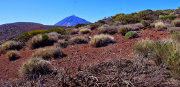 Ocean Atlantycki-Hiszpania-Santa Cruz de Tenerife-Observatorio del Teide-2014 (6) W