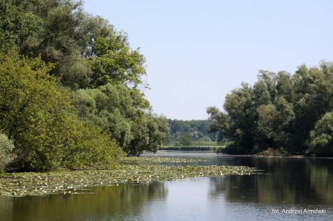 Europa-Polska-Szczecin-2011 (6) W