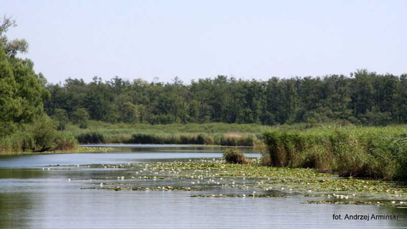 Europa-Polska-Szczecin-2011 (6) W