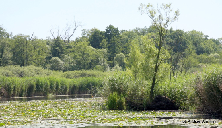 Europa-Polska-Szczecin-2011 (6) W