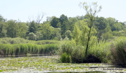 Europa-Polska-Szczecin-2011 (6) W