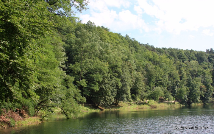 Europa-Polska-Szczecin-2011 (11) W