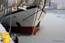 Europa-Polska-Szczecin-2011 W